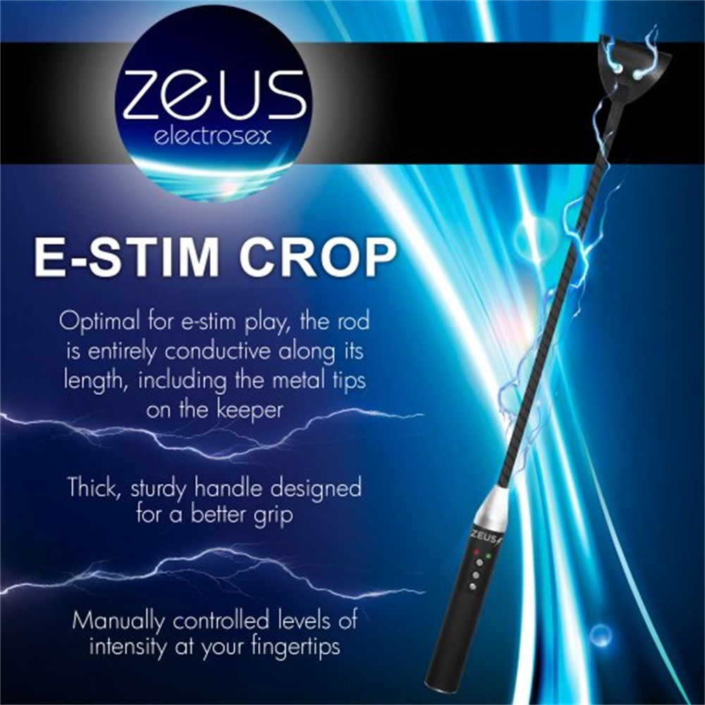 E-stim Crop Spanking Sex Crop for Adult Couple Paddle
